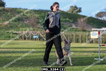 IMG_3264 (2).jpg