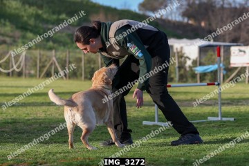 IMG_3272.jpg