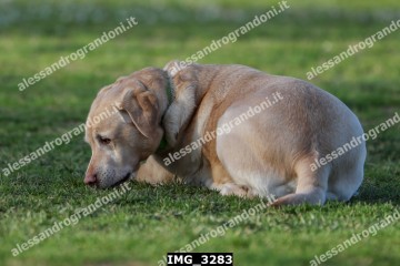 IMG_3283.jpg