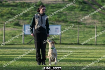 IMG_3327.jpg