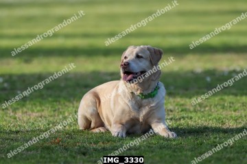 IMG_3330.jpg