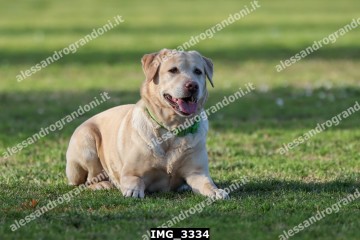 IMG_3334.jpg