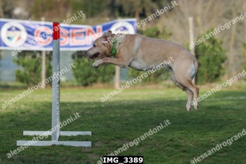 IMG_3389.jpg