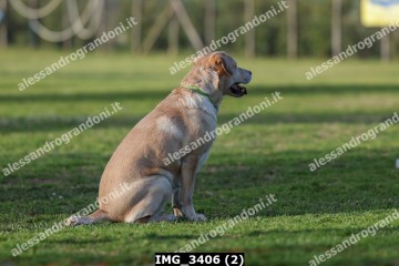 IMG_3406 (2).jpg
