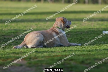 IMG_3414.jpg
