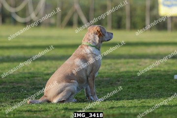 IMG_3418.jpg