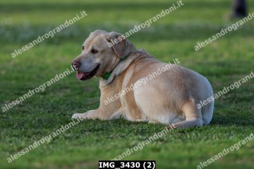 IMG_3430 (2).jpg