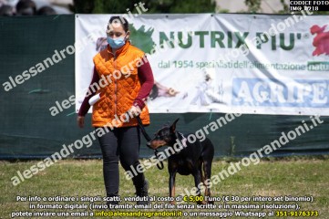 IMG_0218.jpg