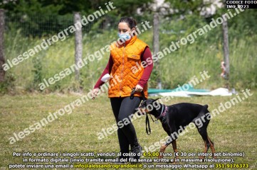 IMG_0223.jpg