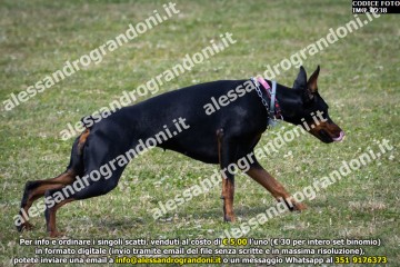 IMG_0238.jpg