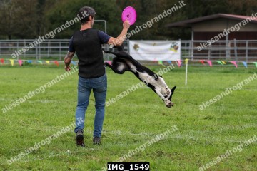 IMG_1549.jpg