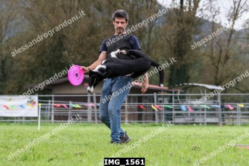 IMG_1561.jpg