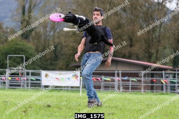 IMG_1575.jpg