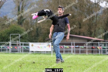 IMG_1577.jpg