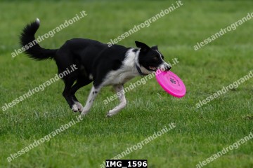 IMG_1596.jpg