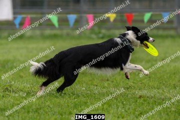 IMG_1609.jpg
