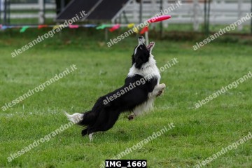 IMG_1669.jpg