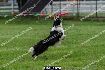 IMG_1670.jpg