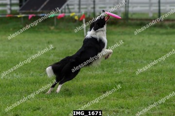 IMG_1671.jpg