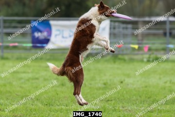 IMG_1740.jpg