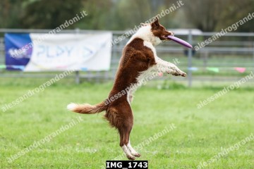 IMG_1743.jpg