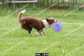 IMG_1848.jpg
