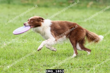 IMG_1852.jpg