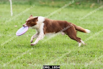 IMG_1854.jpg
