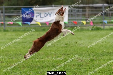IMG_1865.jpg