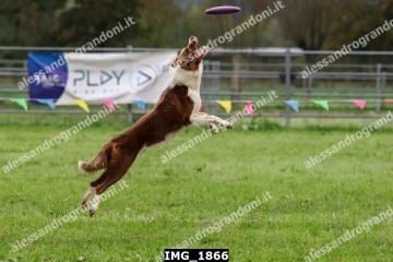 IMG_1866.jpg