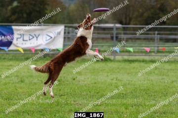 IMG_1867.jpg