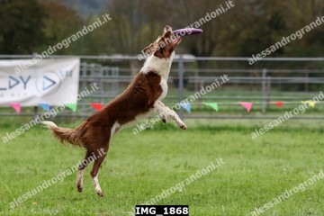 IMG_1868.jpg