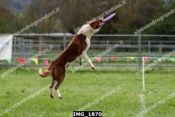 IMG_1870.jpg