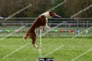IMG_1874.jpg