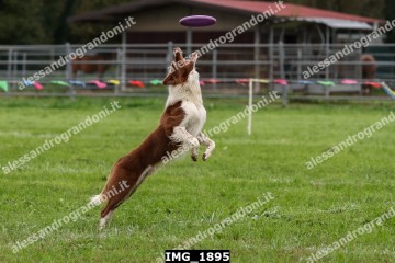 IMG_1895.jpg