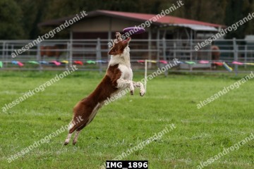 IMG_1896.jpg