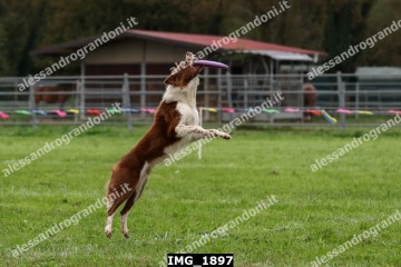 IMG_1897.jpg