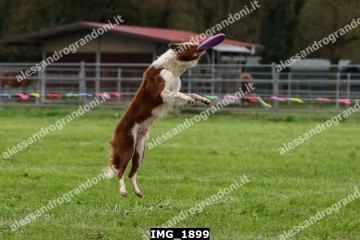 IMG_1899.jpg