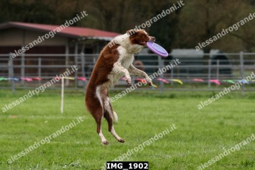 IMG_1902.jpg