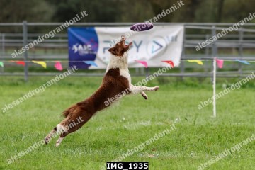 IMG_1935.jpg