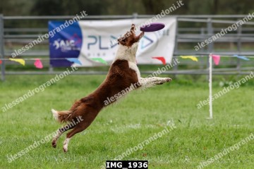 IMG_1936.jpg