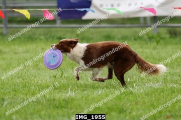 IMG_1955.jpg