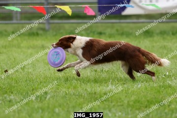 IMG_1957.jpg