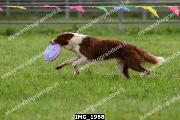 IMG_1968.jpg
