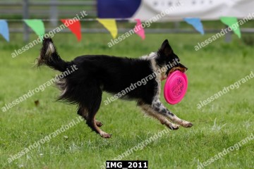 IMG_2011.jpg