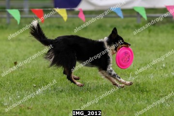 IMG_2012.jpg