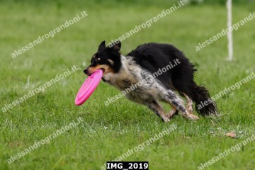 IMG_2019.jpg