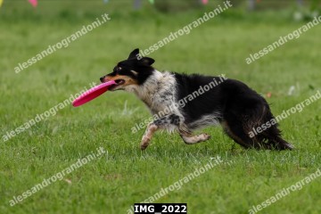 IMG_2022.jpg