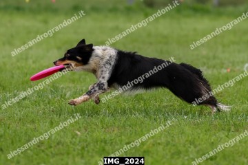 IMG_2024.jpg