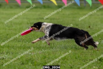 IMG_2034.jpg